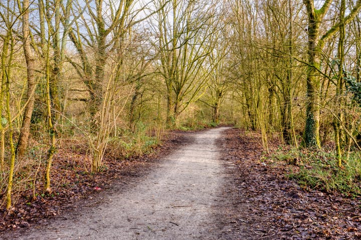 Photo 24 of Rietzangerstraat 83