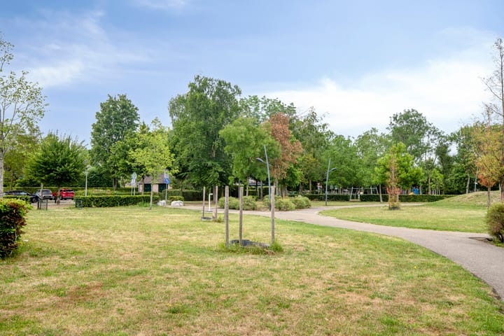 Foto 35 van Kraanvogel 68