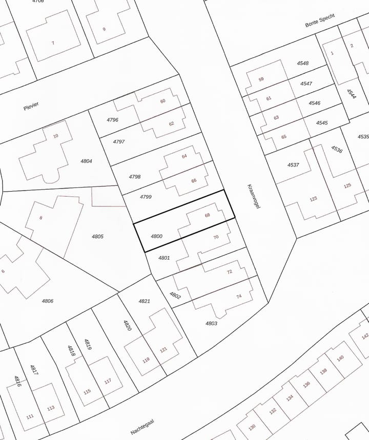 Foto 40 van Kraanvogel 68