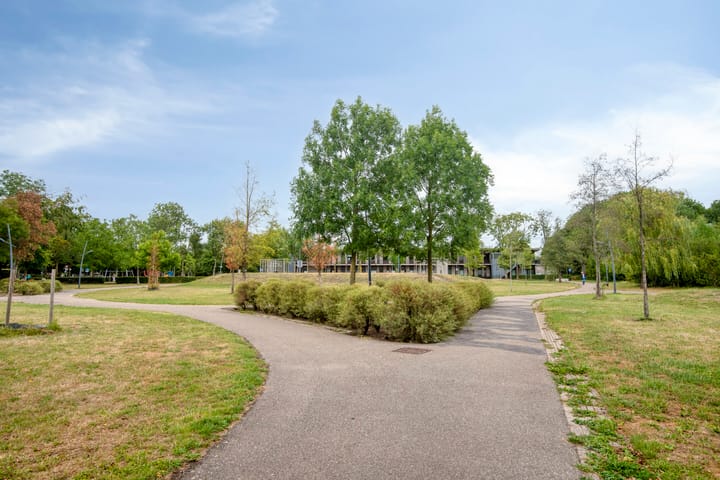 Foto 36 van Kraanvogel 68