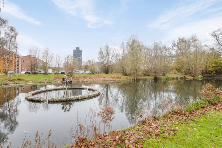 Foto 43 van De Houtmanstraat 68