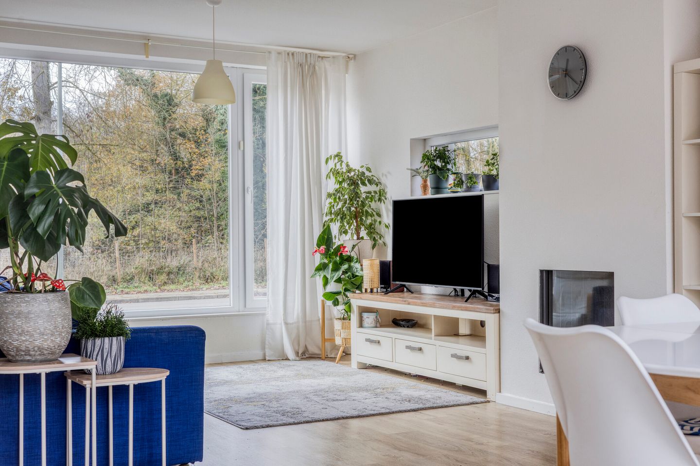 Foto 10 van Westrand 45