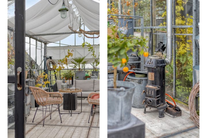 Foto 49 van Cantate 29