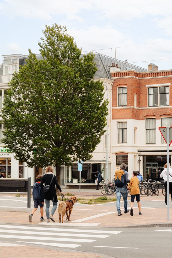 Foto 35 van Statenplein 2-B