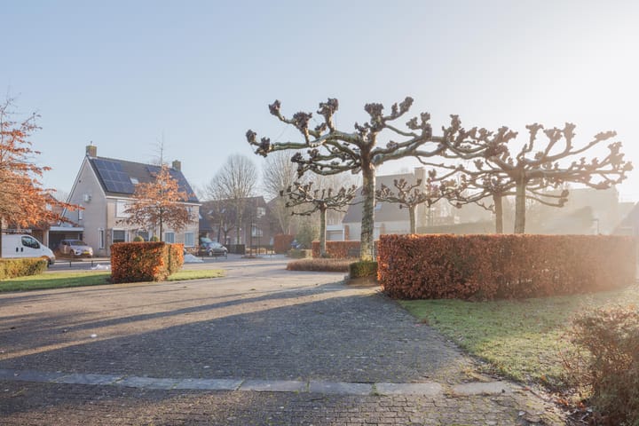 Foto 7 van Anna Bijnsplein 2