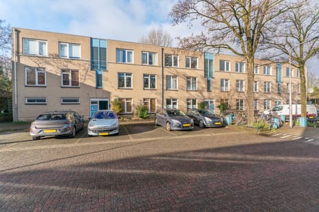 Ridderspoor thumbnail