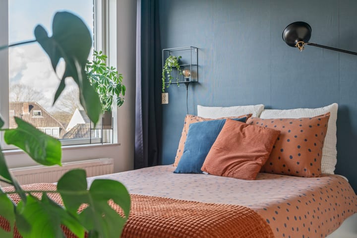 Foto 4 van Ridderspoor 41