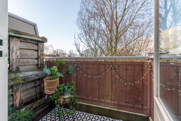 Foto 5 van Ridderspoor 41