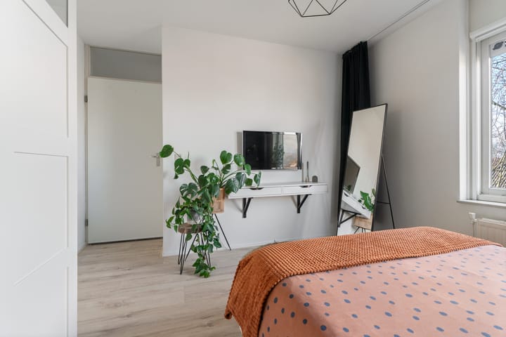 Foto 20 van Ridderspoor 41