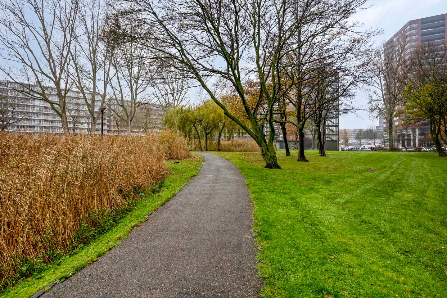 Photo 29 of Zernikeplaats 22