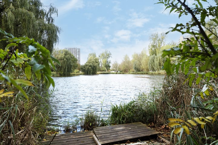 Foto 26 van Jhr. De Savornin Lohmanstraat 25