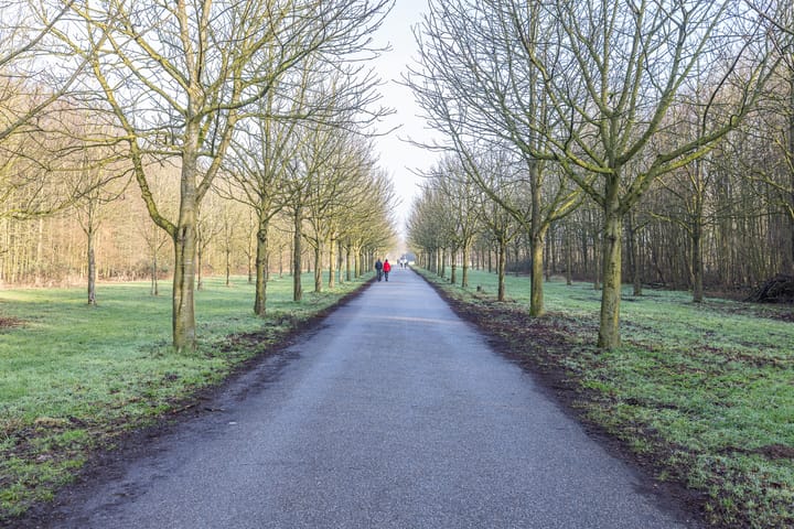 Foto 23 van Emily Brontësingel 118