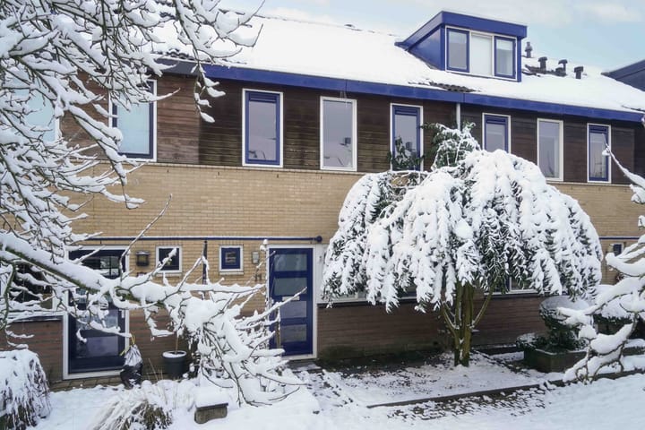 Brabantse Bellefleur 11