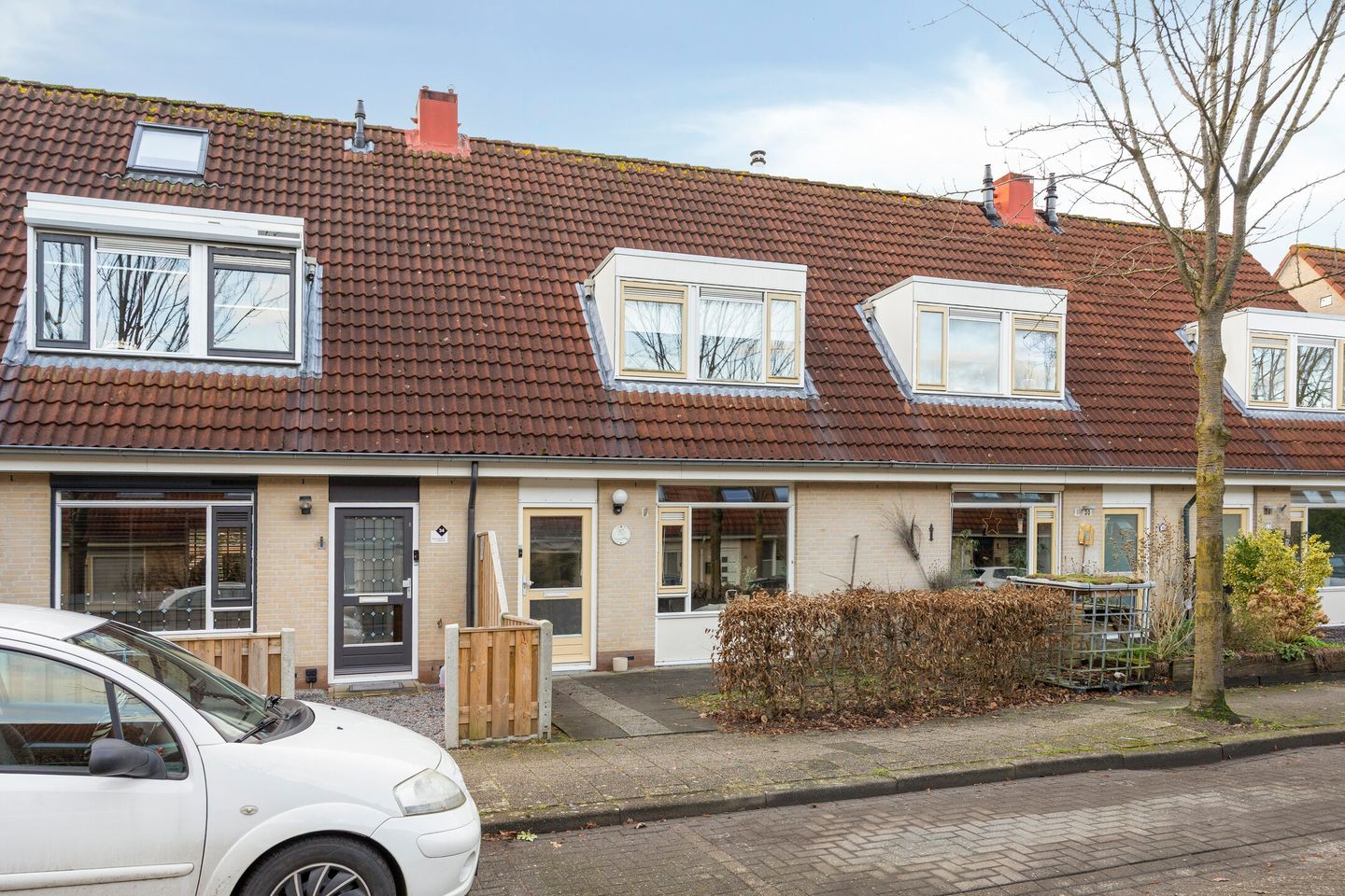 Foto 5 van Duinroos 32