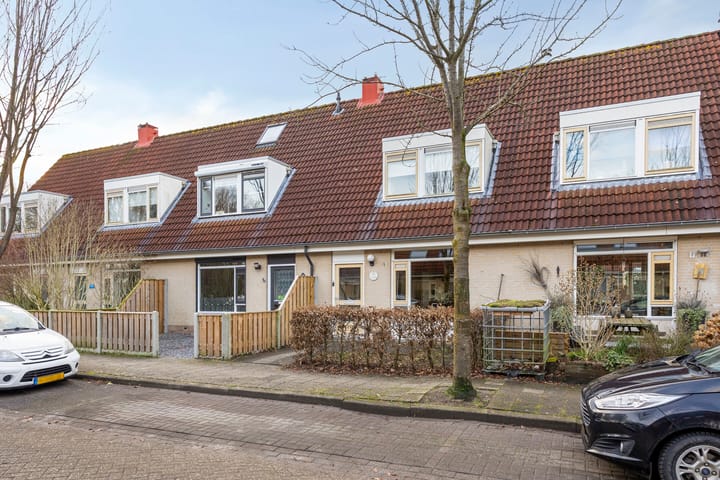 Foto 6 van Duinroos 32