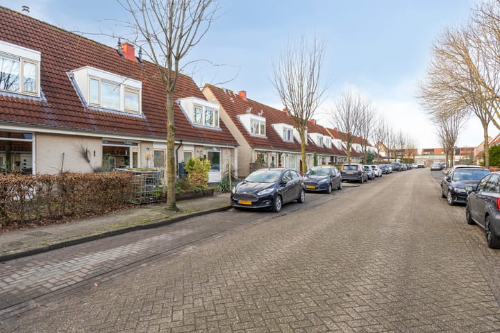 Foto 7 van Duinroos 32