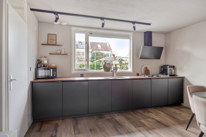 Foto 14 van Duinroos 32