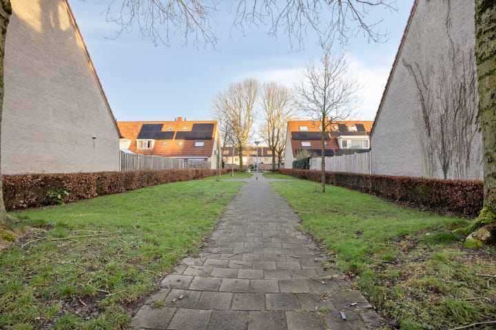 Foto 32 van Duinroos 32