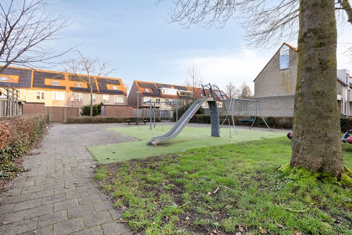 Foto 33 van Duinroos 32