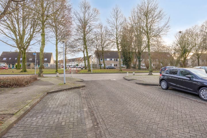 Foto 35 van Duinroos 32