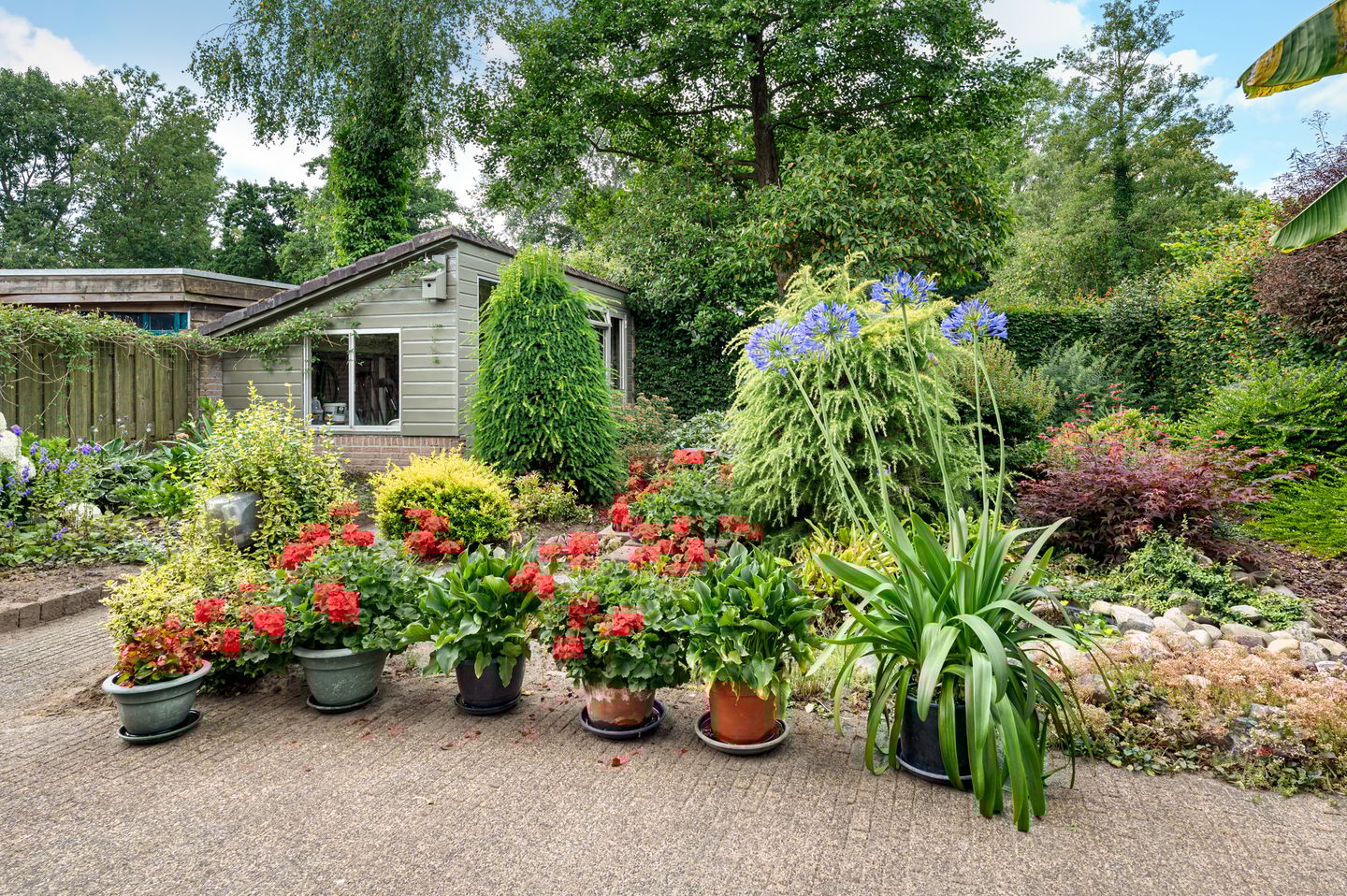 Photo 4 of Bolle Akkers 20