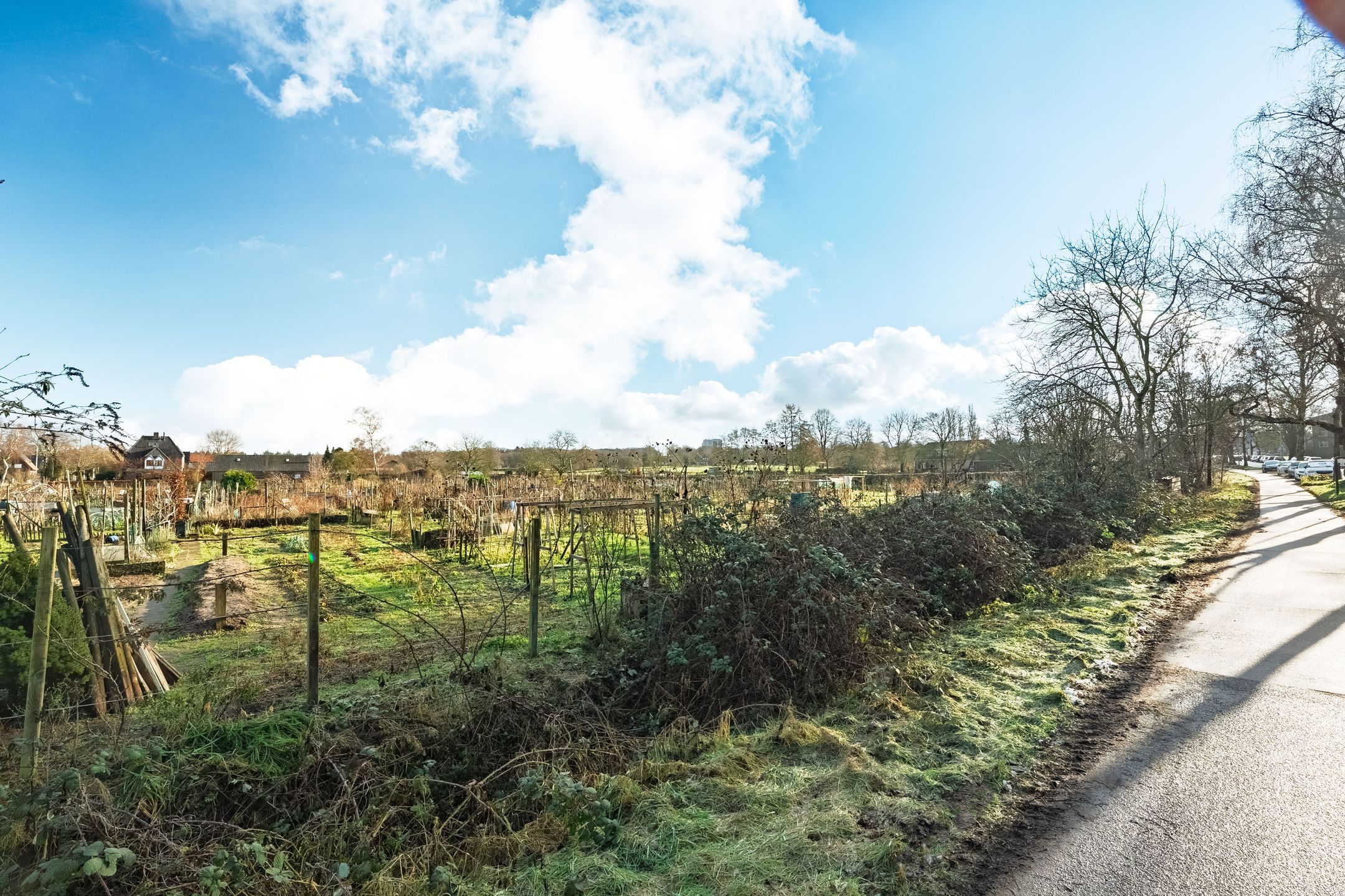 Foto 30 van Diedenweg 109-II