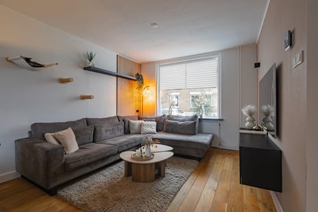 Torenstraat 8 secondary image