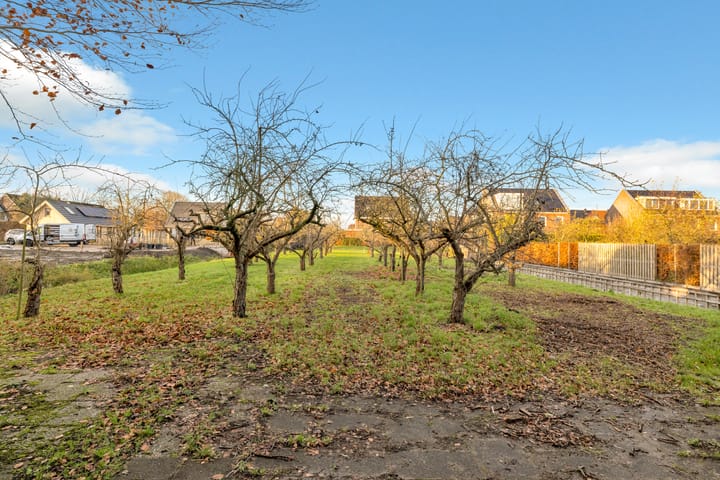 Photo 32 of Koewijzend 1