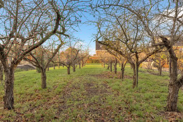 Photo 33 of Koewijzend 1