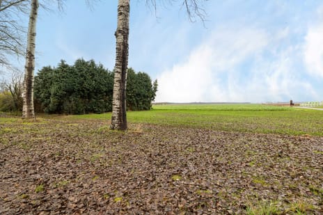 Noorderdiep 84 secondary image