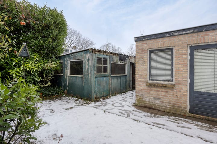 Foto 33 van Beukendreef 11