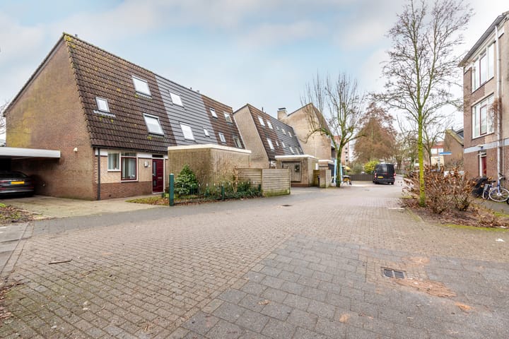 Foto 50 van Hoefbladmeen 14