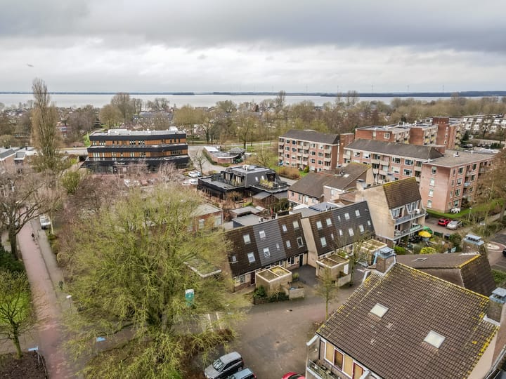 Foto 54 van Hoefbladmeen 14