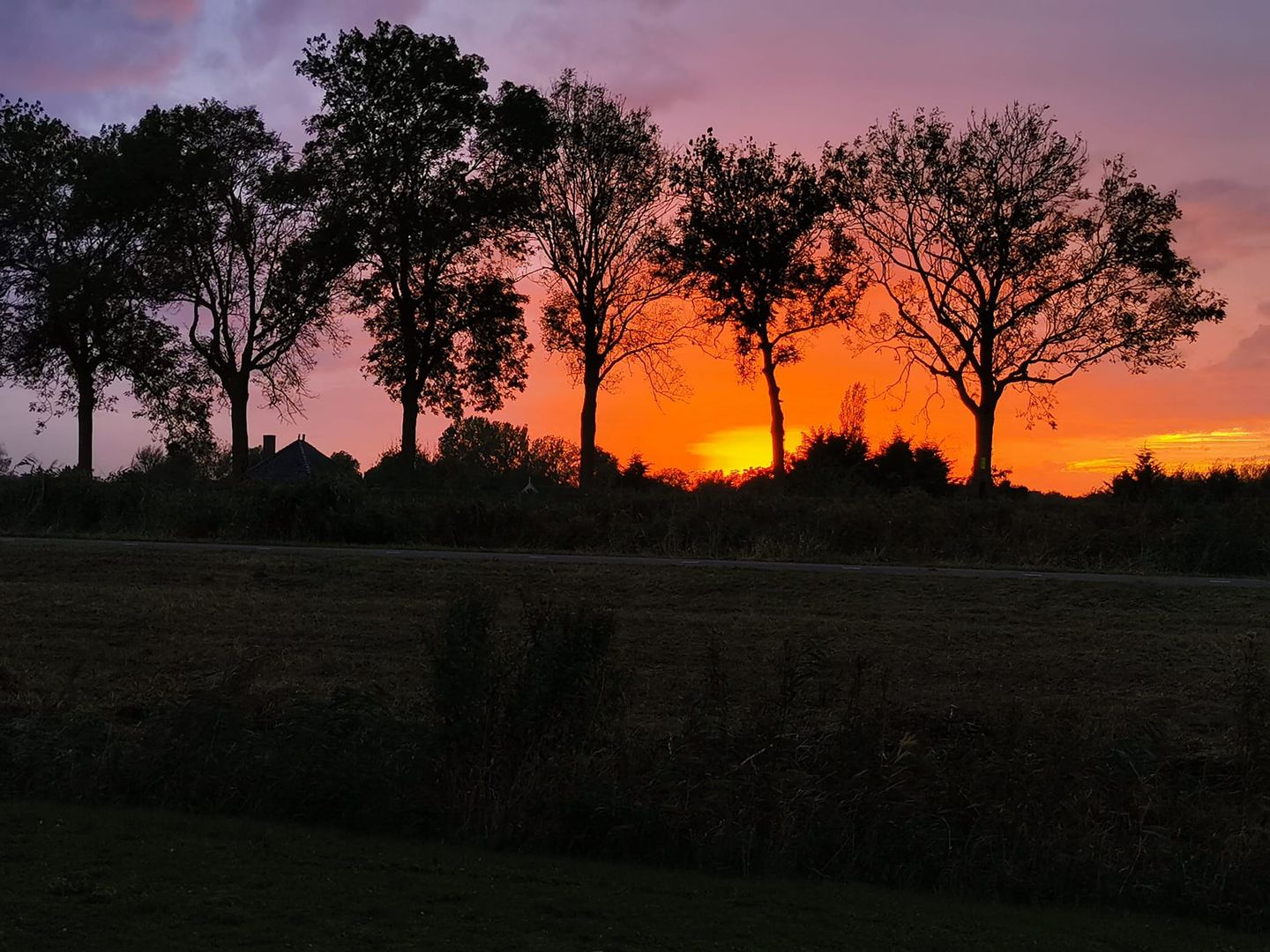 Photo 25 of Burgemeester D. Kooimanweg 479