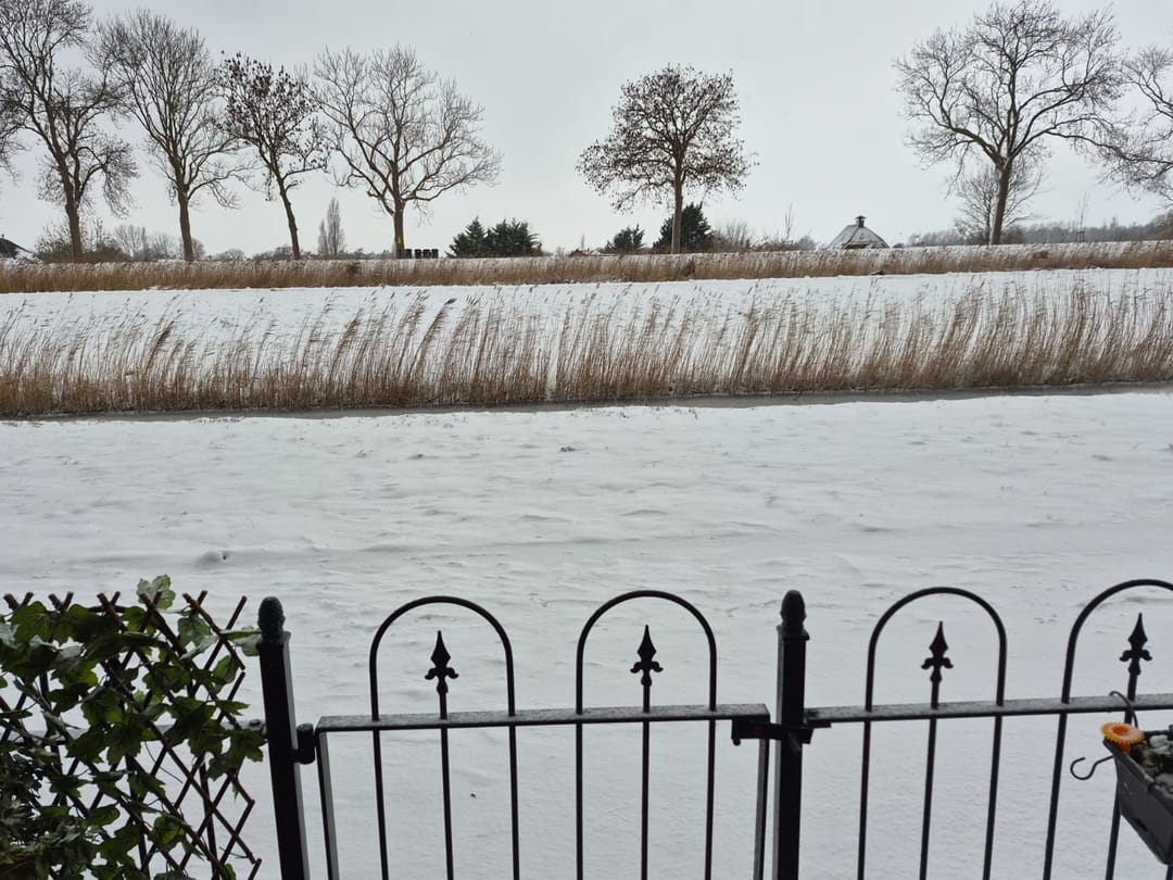 Photo 26 of Burgemeester D. Kooimanweg 479