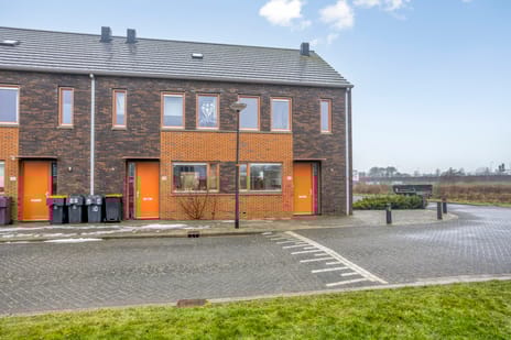 undefined main image