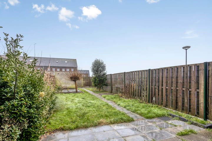 Photo 29 of Velduil 39