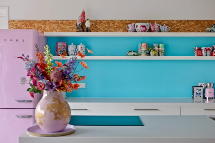 Photo 15 of Botter 25