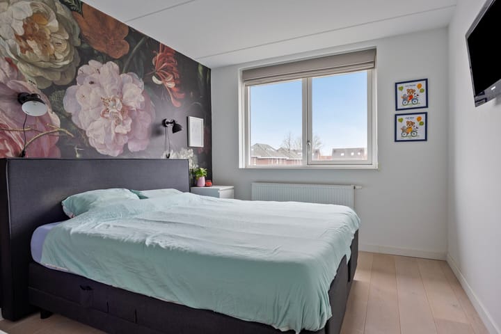 Photo 20 of Botter 25