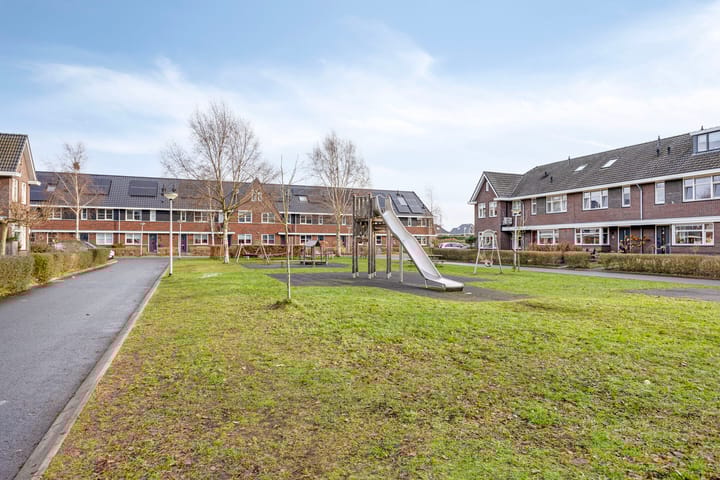 Photo 41 of Botter 25