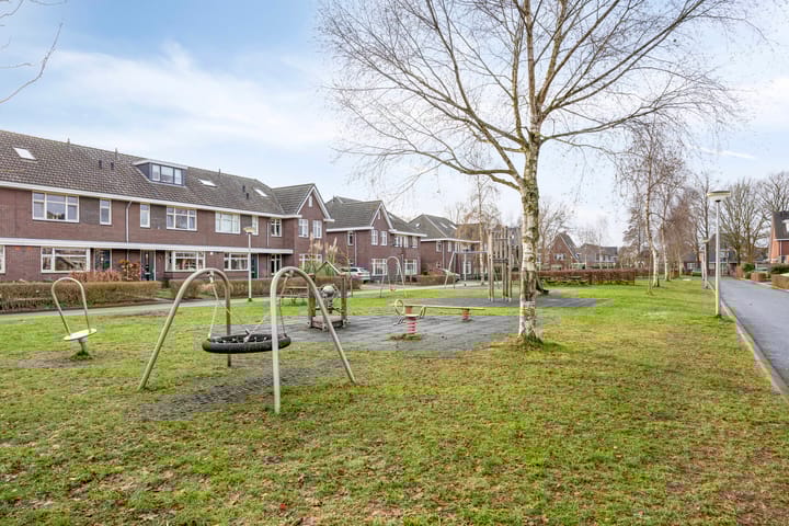 Photo 42 of Botter 25