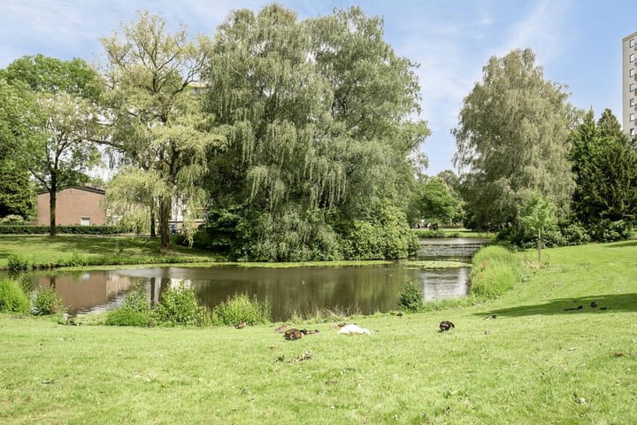 Foto 28 van Pasteurstraat 36