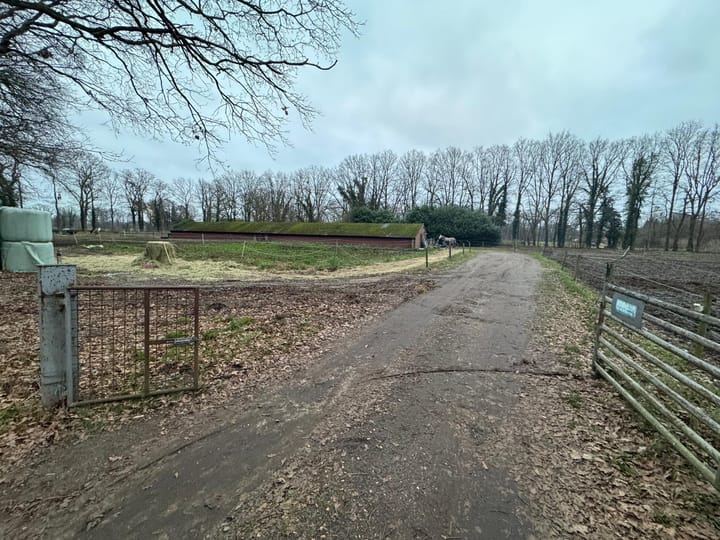 Morskers Driehuisweg