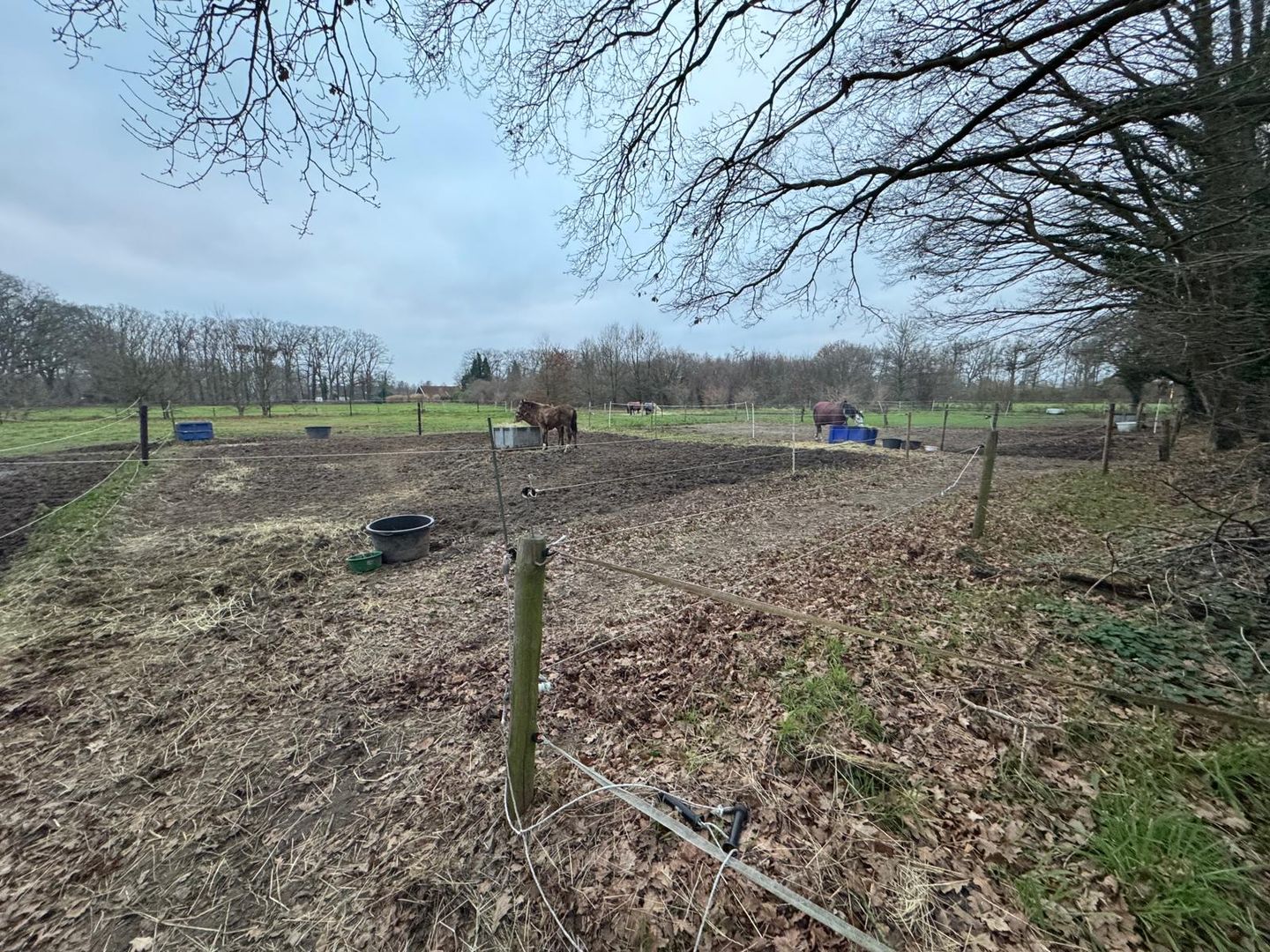 View photo 4 of Morskers Driehuisweg