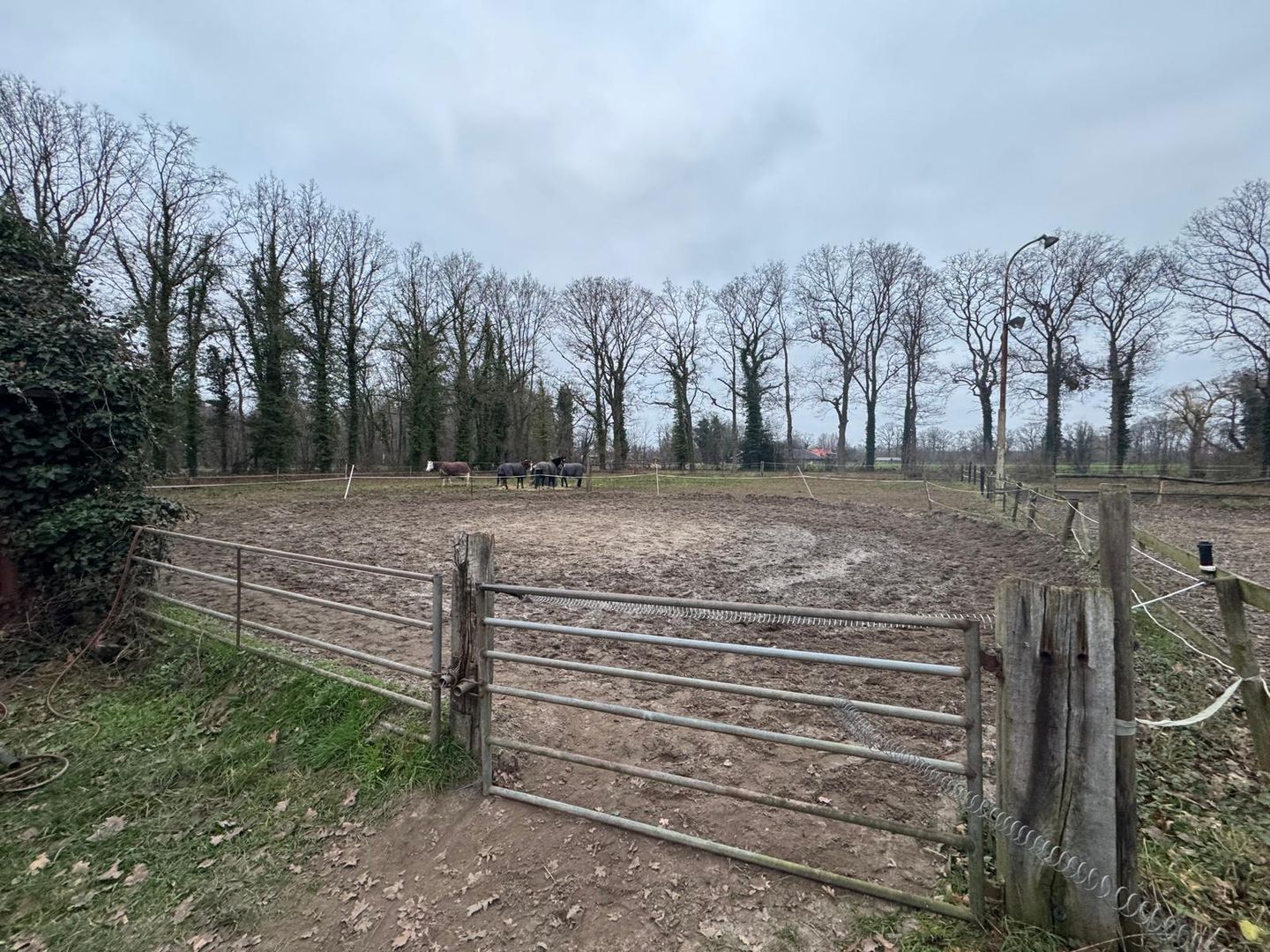 View photo 5 of Morskers Driehuisweg