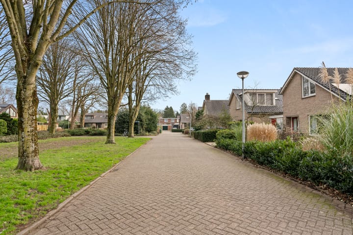 Foto 4 van Jerfaasplantsoen 6