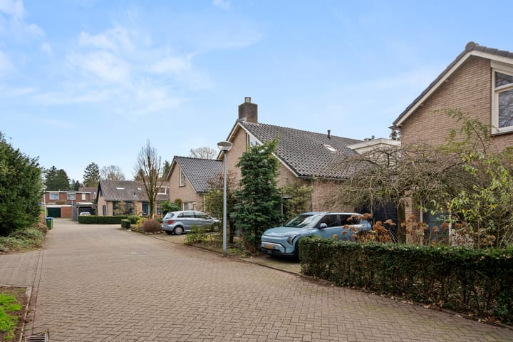 Foto 7 van Jerfaasplantsoen 6