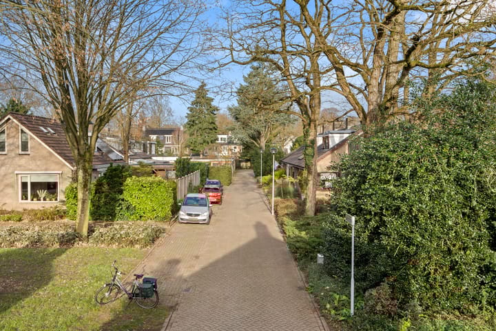 Foto 9 van Jerfaasplantsoen 6