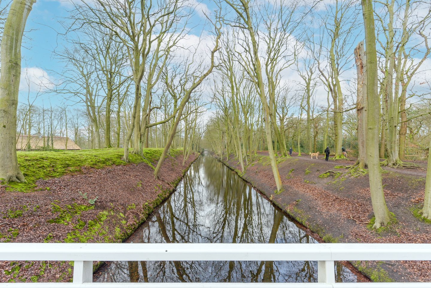 Foto 29 van Van Neckstraat 102