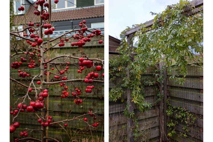 Foto 22 van Molenweide 25